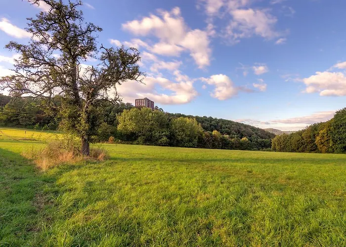 Kiefer - A907 By Interhome * Lahnstein